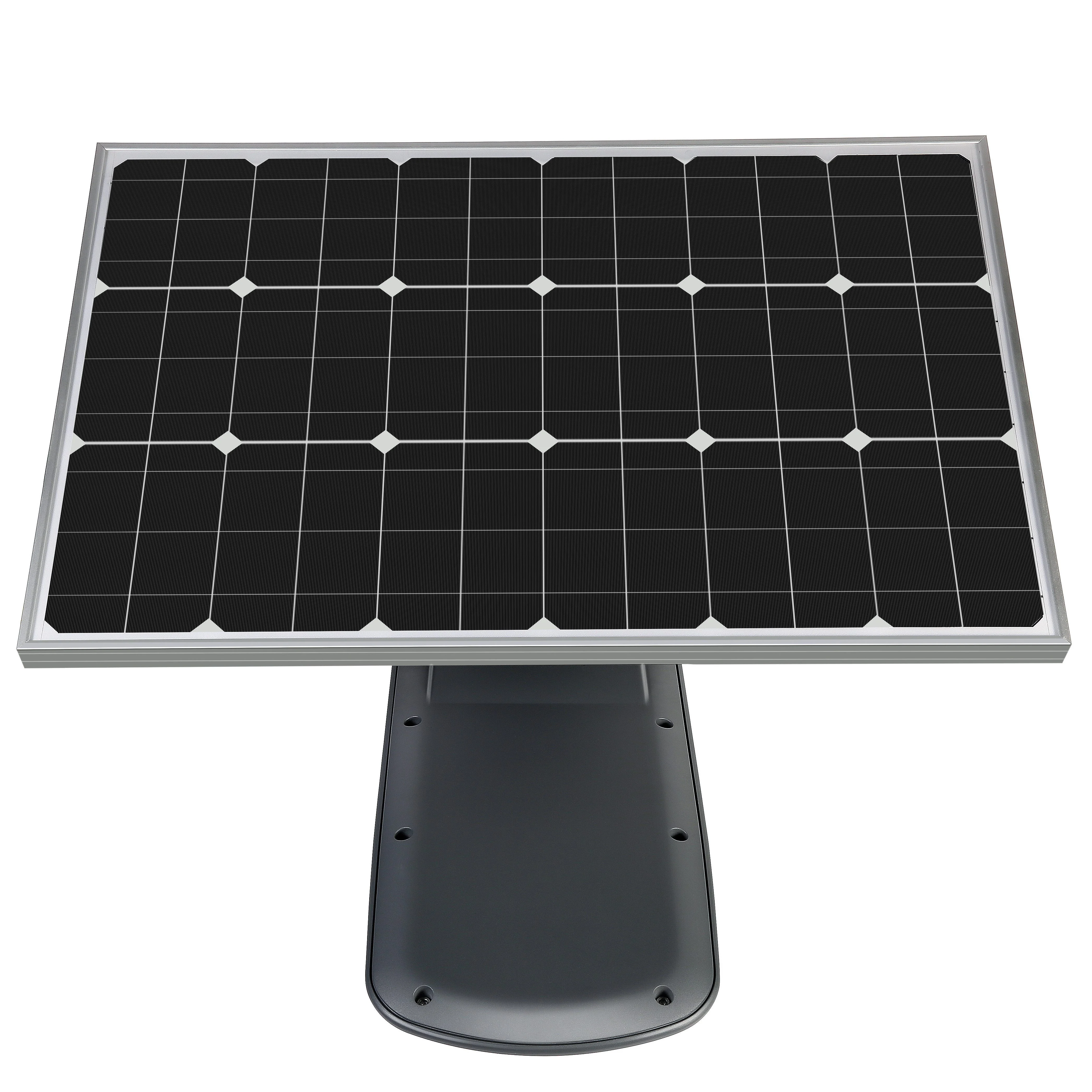 Street Light with separate solar panel - LX-LD50W-SF - LUXMAN