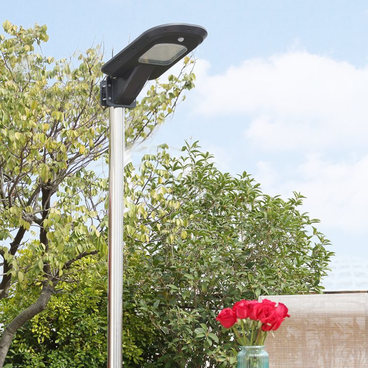 luz solar del jardín