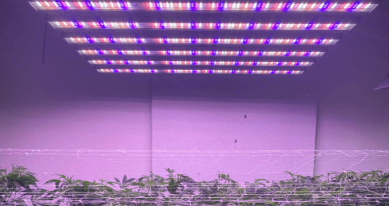 grow lights