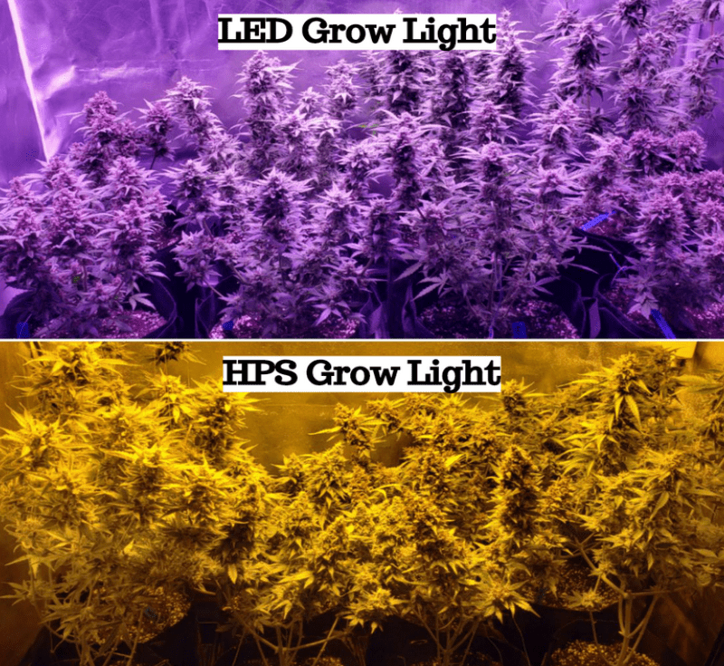 LED Light - HPS Grow Light - Solar Grow Light