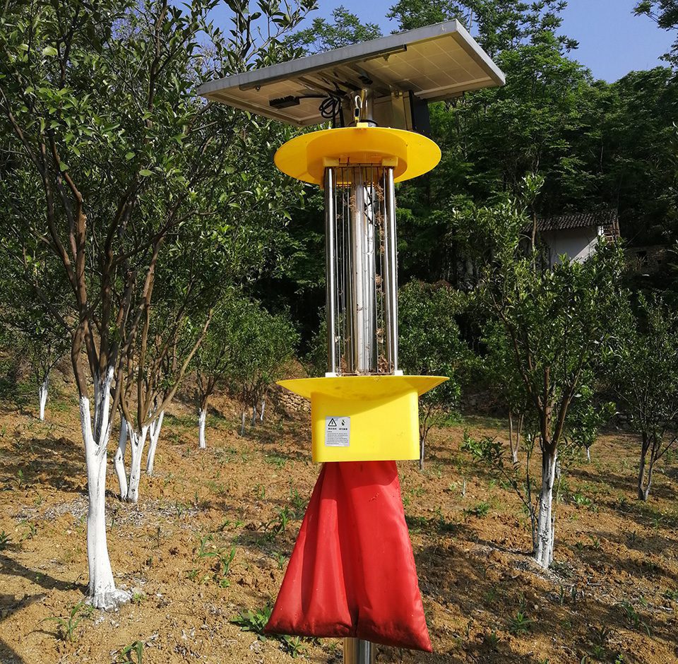 LUXMAN - solar insecticidal pest killing lamp 1