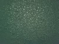 Powder Coating Colors -Dark Green